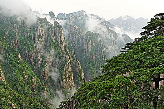 乖水在哪里买的到C1B8D97C5-18975